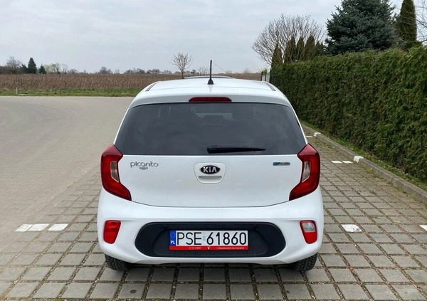 Kia Picanto cena 34900 przebieg: 51000, rok produkcji 2018 z Śrem małe 172